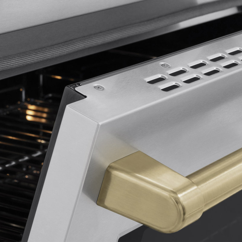 ZLINE Autograph 24 in. Paramount Induction Range with 3 Element Cooktop & Matte Black Accents, Champagne Bronze
