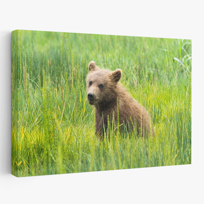 Ourson grizzly - Art animaux sauvages, H 24 po x l 16 po