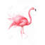 Aquarelle de flamant rose - plumes de salon, reproduction sur toile