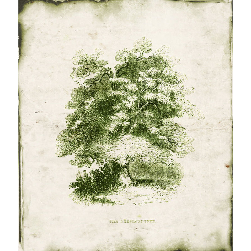 «Evergreen VI» par Zoey Riley - Peinture, H 29 po x l 24 po x P 1,5 po, Couche de verre