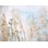 Botanical Silhouettes Cool Cotton Blend Floral Comforter