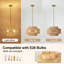 Lustre 17,7 po Boho