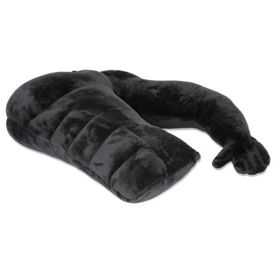 Pillow Insert