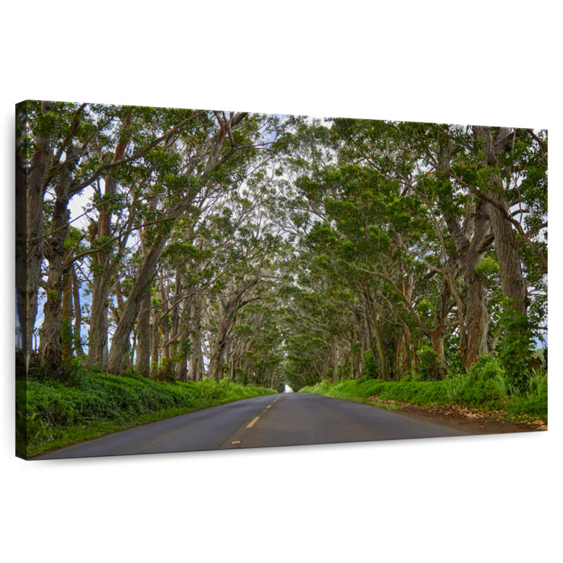 Tunnel d'arbre Mehar Kauai, H 32 po x l 48 po