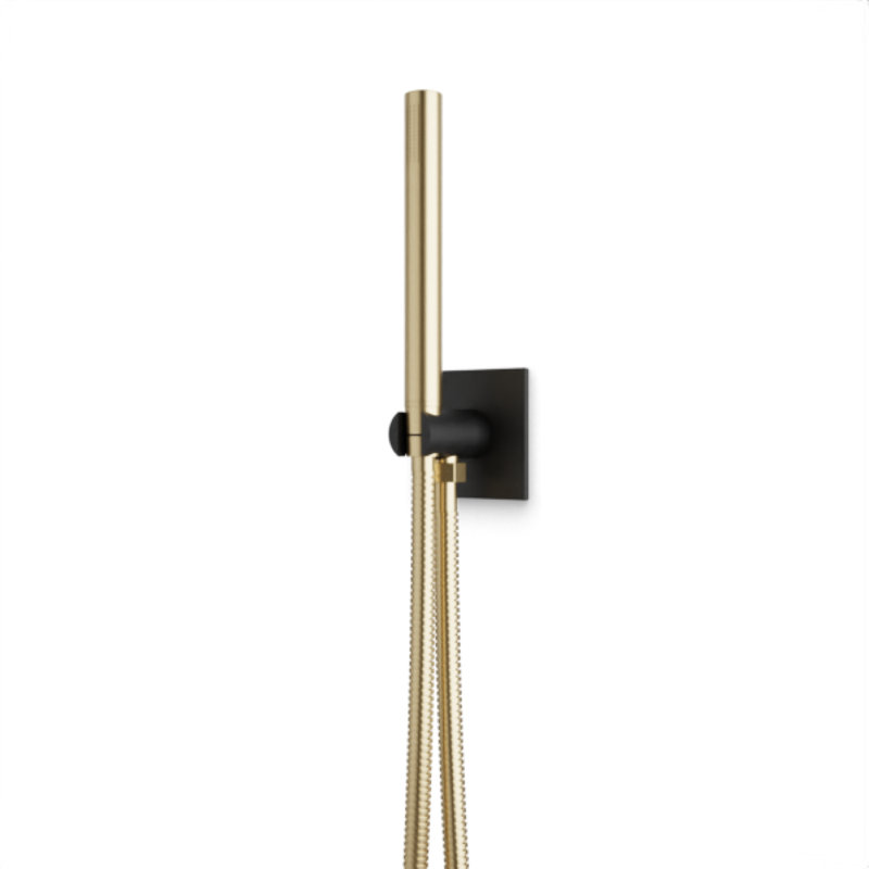 Rain Handheld Shower Head, Satin Brass/Black