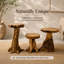 Burruss Solid Wood Tree Stump End Table