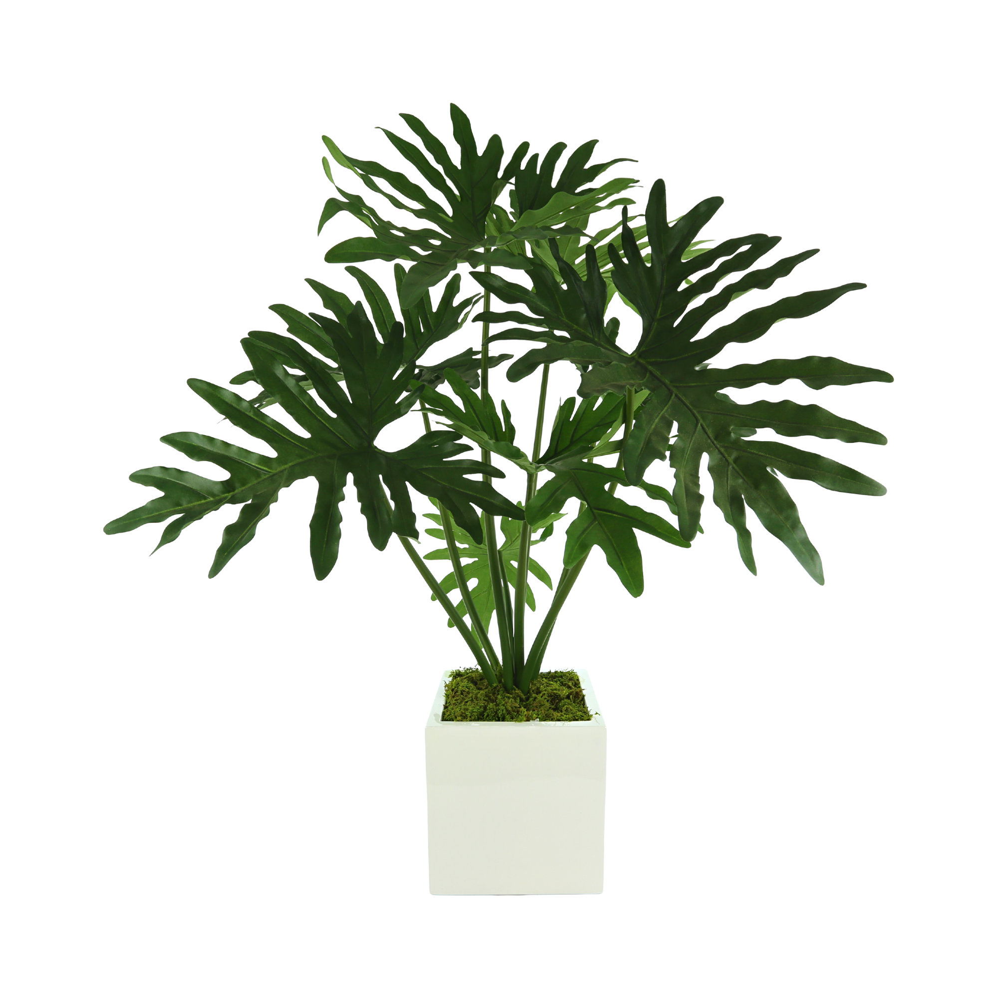 Creative Displays, Inc. Organic Modern Faux Philodendron Plant Perigold