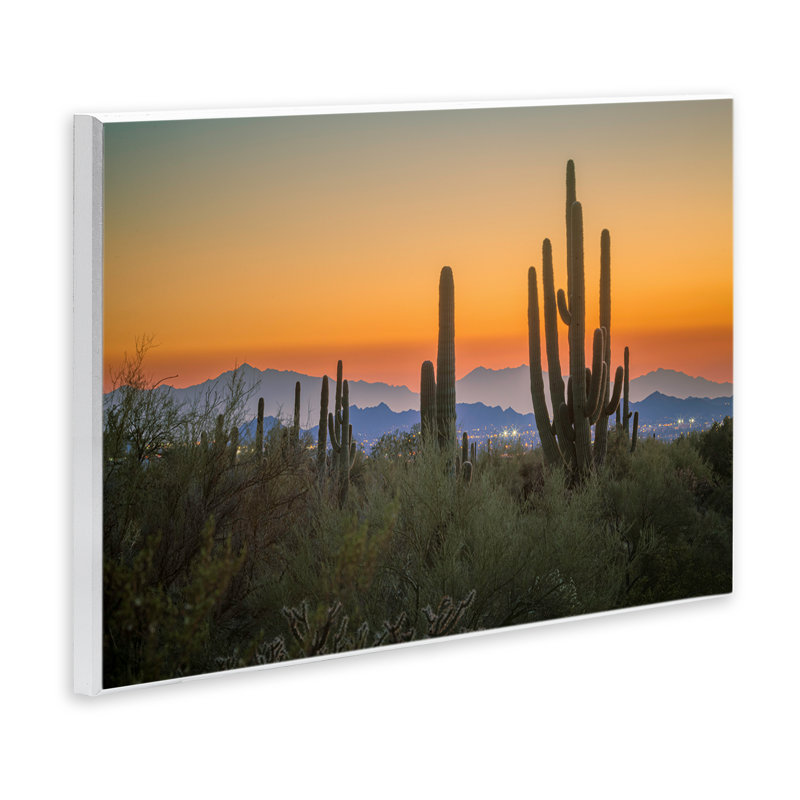 «Cacti Looming» par Marty Hulsebos, H 13 po x l 19 po