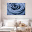 Rose bleue Harnek en gros plan