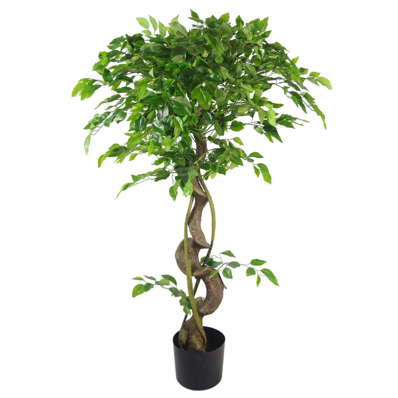 Faux Ficus Tree, 120cm H x 20cm W x 20cm D, Brown