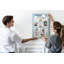 Wall Mounted Cork Board