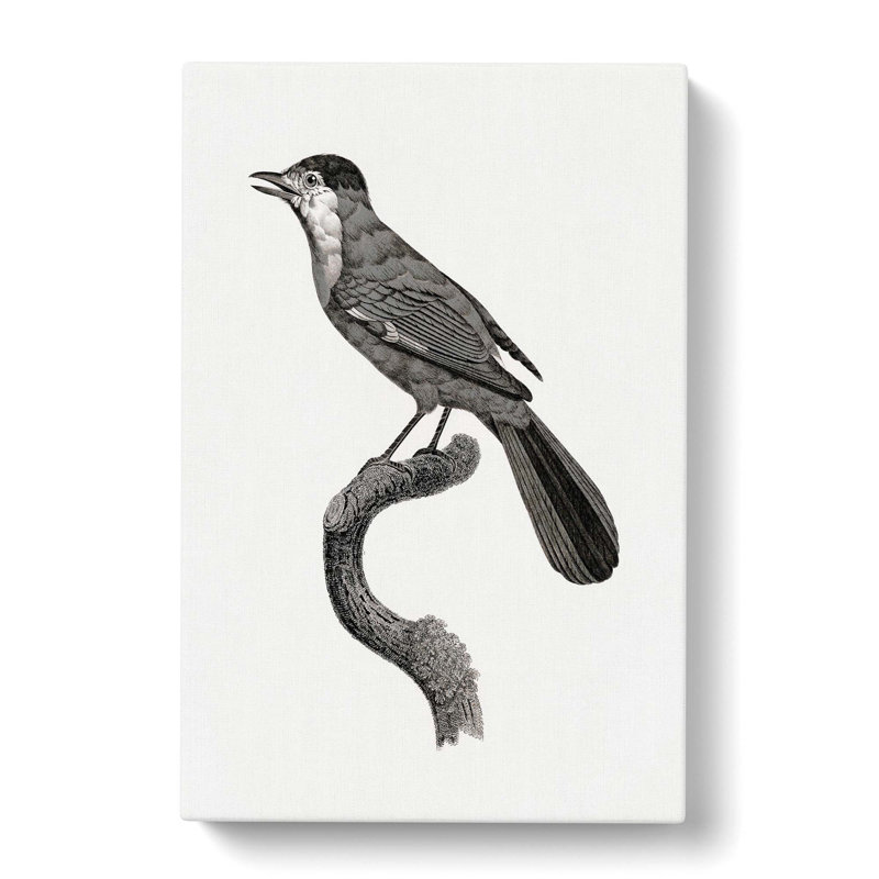 Golden Jay Bird by Jacques Barraband - Wrapped Canvas Painting, 50cm H x 35cm W x 3cm D