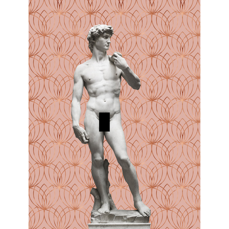 Statue Of David By Michelangelo - No Frame Print