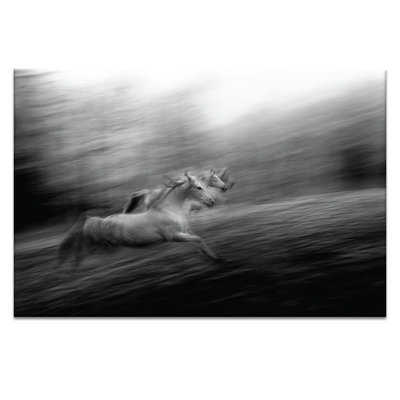 Print on Canvas