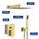 Pressure-Balanced Complete Shower System with 10 Inch Rain Shower Head and Rough-In Valve