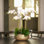 Arrangement floral orchidées dans un pot