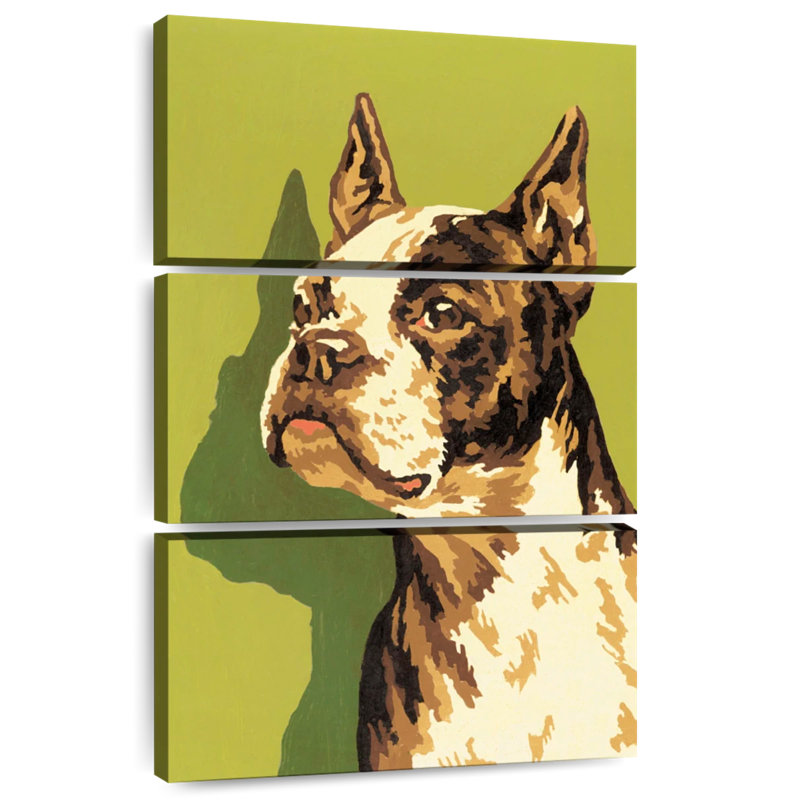 Brampt Boston Terrier, 57" H x 36" W