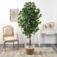 72'' Faux Ficus Tree in Burlap, Cotton Planter