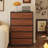 Modern Retro Style Accent Chest