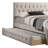 Aneurin Upholstered Platform Storage Bed-1263292002
