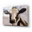 «Serious Cow» par John Silver-101650159