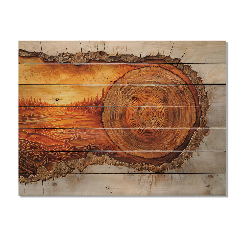 Sunrise Tree In Forest Landscape II - impression sur bois de forêt - sur bois de pin naturel, H 34 po x l 44 po x P 0,78 po