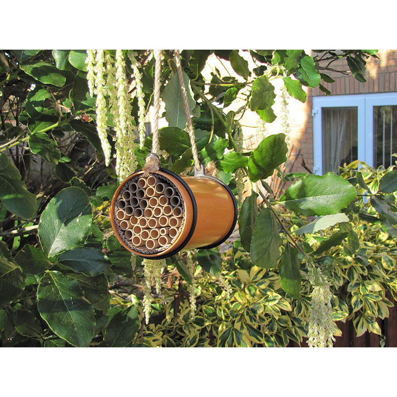 Hagopian Hanging Bumblebee House