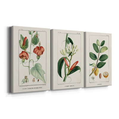 Turpin Tropical Botanicals IV - Toile tendue avec châssis sur mesure - 3 pièces
