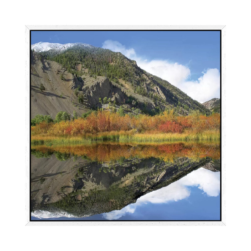 Boulder Mountains Reflected In Pond, Idaho by Tim Fitzharris - Gallery-Wrapped Canvas Giclée on Canvas, White Framed
