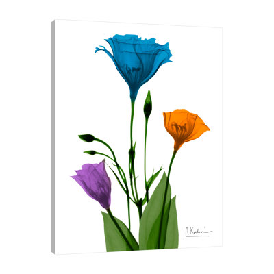 " Jewel Gentian Buddies 2 " by Albert Koetsier