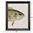 Green/Red Fish Framed Art