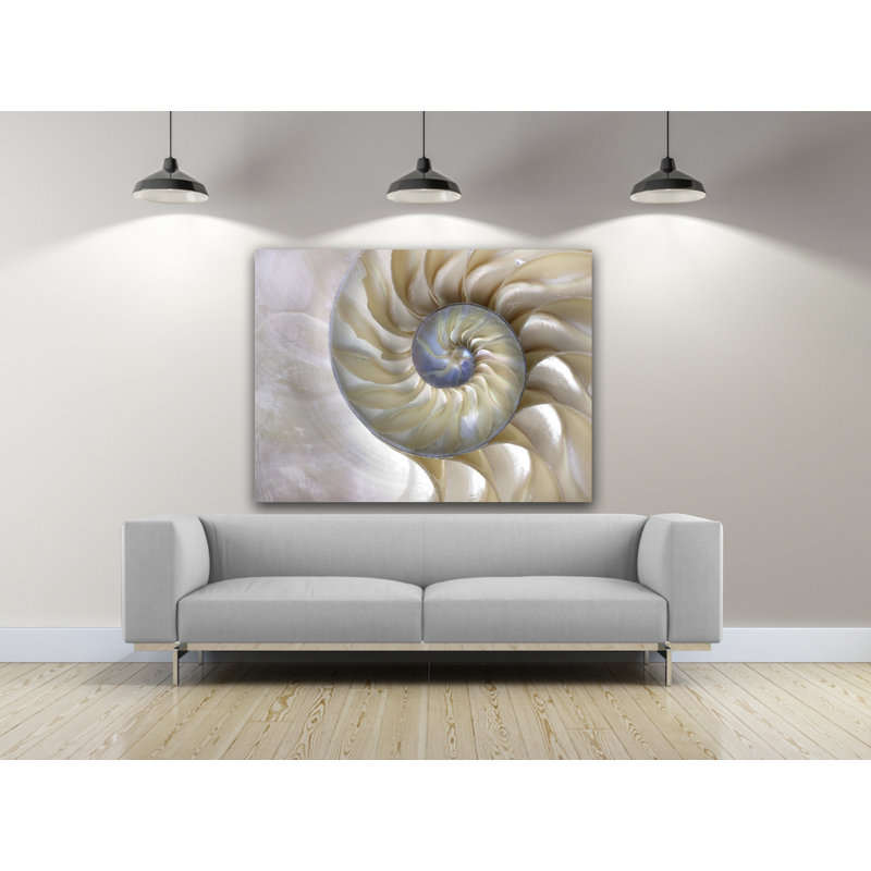 Sea Shell Swirl - Reproduction de photo sur toile tendue, H 16 po x l 20 po x P 1 po