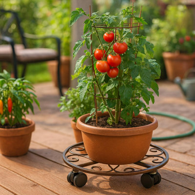 Ensemble de 5 porte-plante avec roues Support pour plante robuste en métal 12 pouces avec roues Support pour plante à roulettes Dolly
