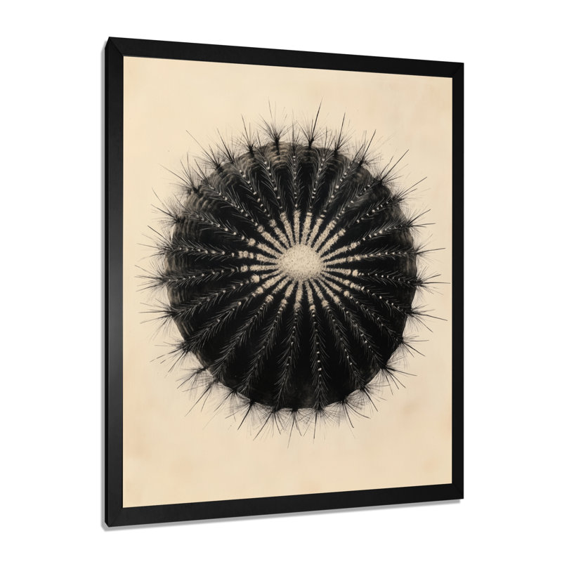 Décoration murale encadrée Cactus en forme de baril noir, H 32 po x l 16 po, Cadre photo noir