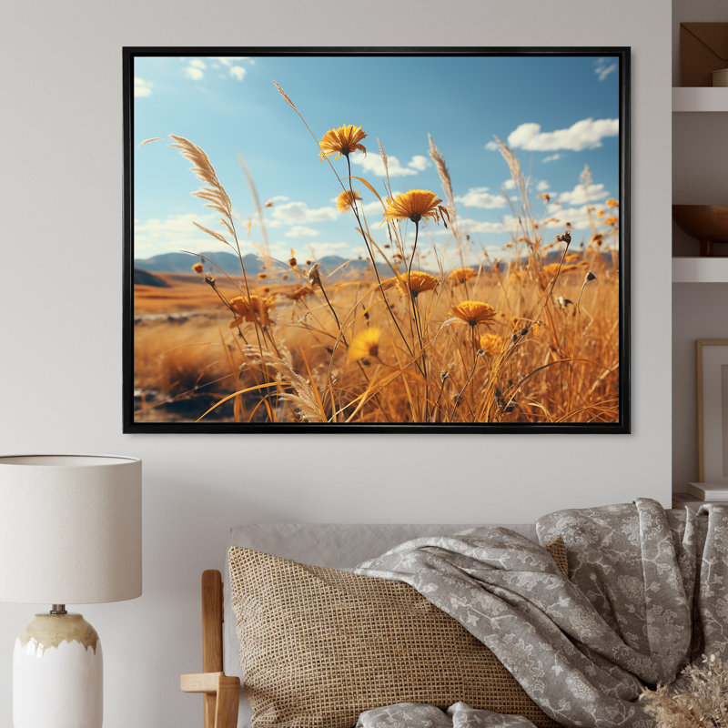 Coucher de soleil, fleurs d'été, prés, Cadre flottant noir, H 34 po x l 44 po x P 1,5 po