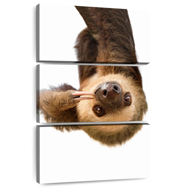 Brampt Silly Sloth, 57" H x 36" W