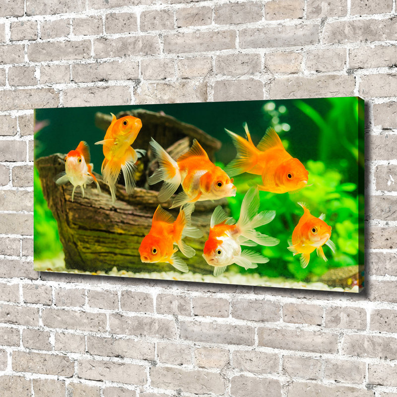 Gold Fish - Wrapped Canvas Print