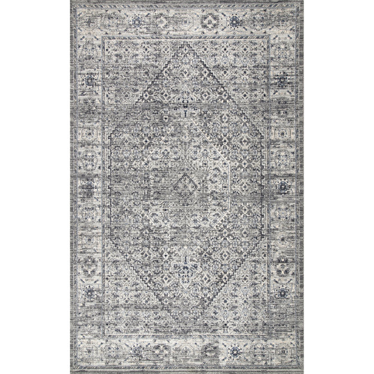 Barajas Oriental Gray Area Rug