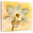 Harnek Vintage Daffodil