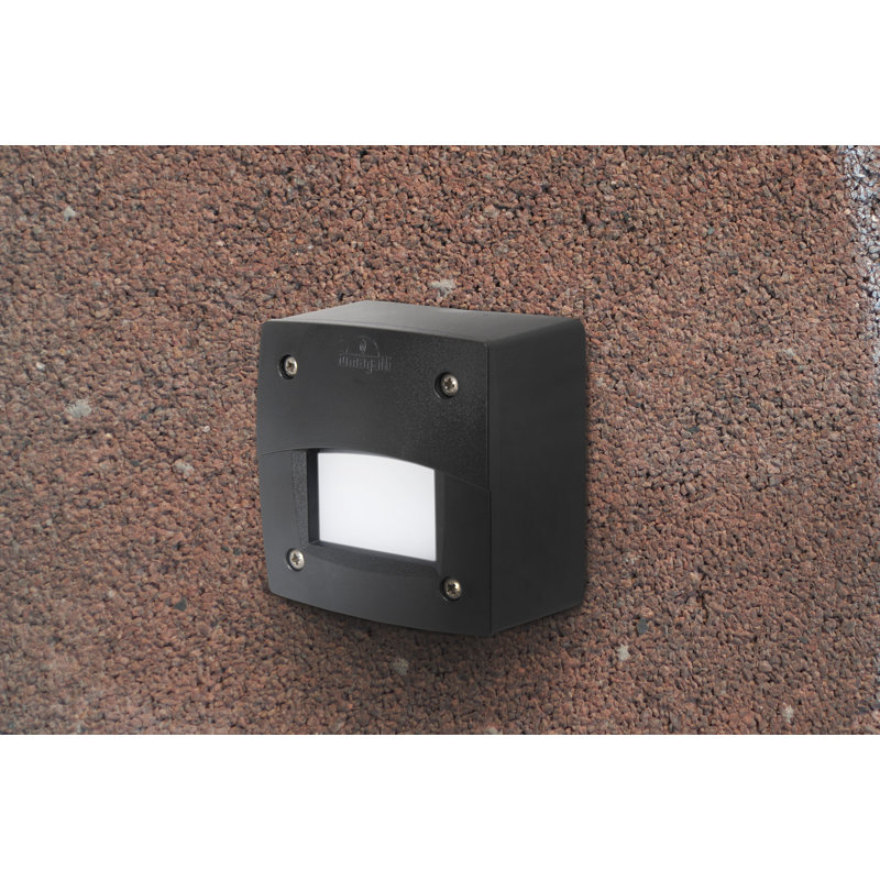 Elsaid Outdoor Armed Sconce