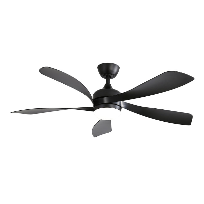 52 Inch Low Profile Ceiling Fan With Lights Remote Control,Quiet DC Motor For Patio Living Room, Black