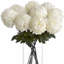 Arrangement-890036935