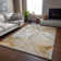 Premium Machine Washable Cerrito AMF516 Brown Rug