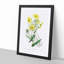 Yellow Daisies - Picture Frame Painting Print-55613913-55613917