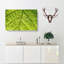 Leaf Roads - Wrapped Canvas Print-56629895
