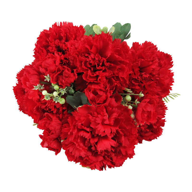 Oeillet, Rouge
