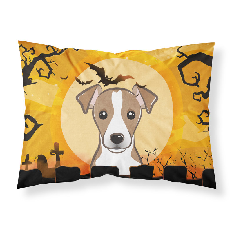 Microfiber, Brown Jack Russell Terrier