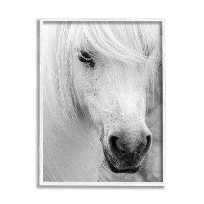 Élégant cheval blanc, estampe numérique par Danita Delimont