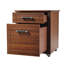 Goldie 17' Wide 2 -Drawer File Cabinet