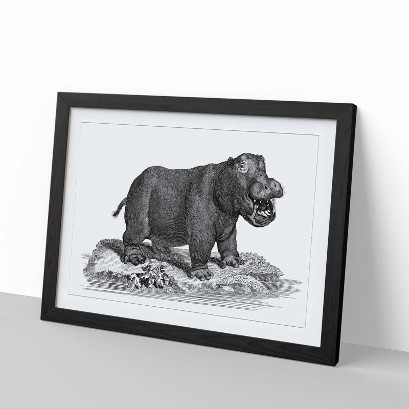 Hippopotamus in Black and White by George Shaw - Picture Frame Drawing Print, 36cm H x 48cm W x 2cm D, Black Framed